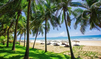 отель Palm Beach Resort & Spa 4* отель Palm Beach Resort & Spa 4*